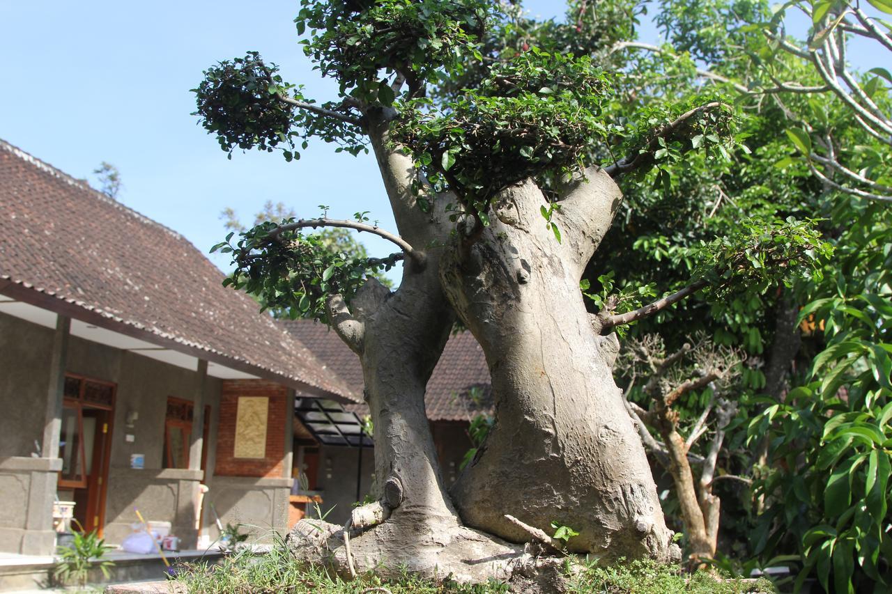 Hotel Jerogadung House Ubud Exteriér fotografie